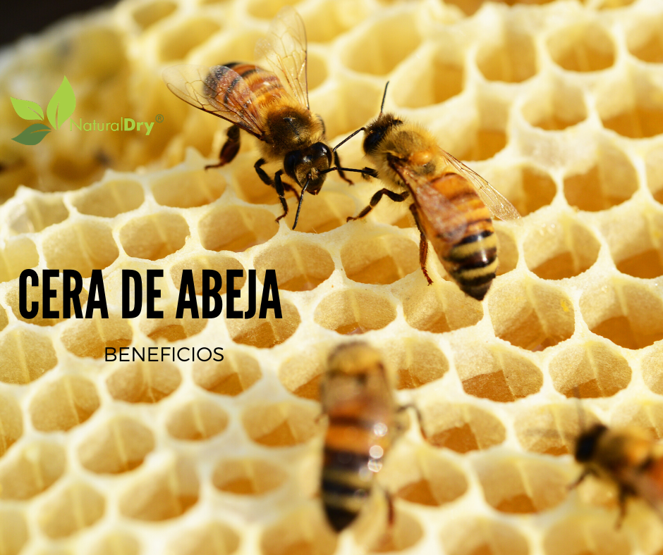 Cómo hidratar tu piel con la cera de abeja