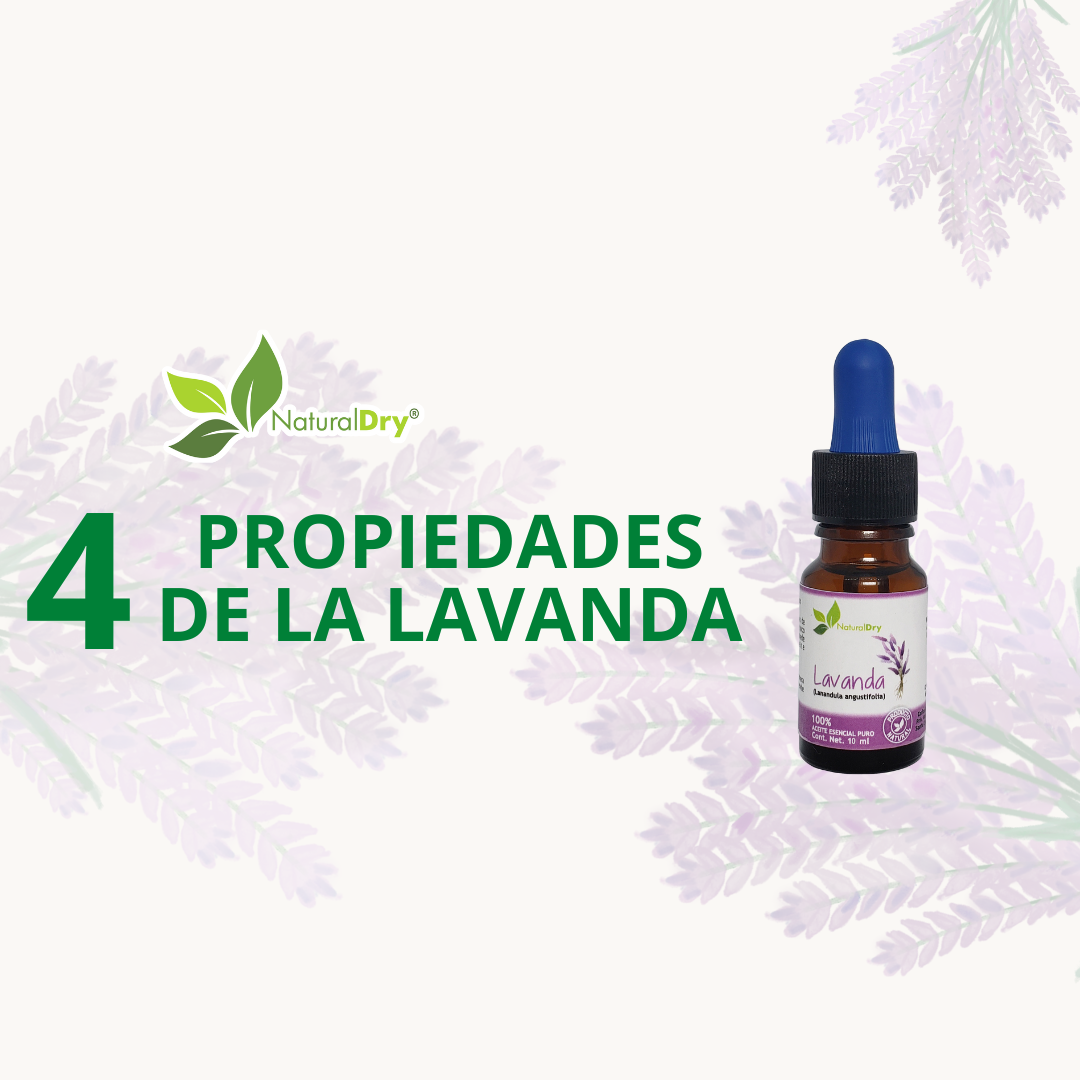 4 Propiedades de la lavanda